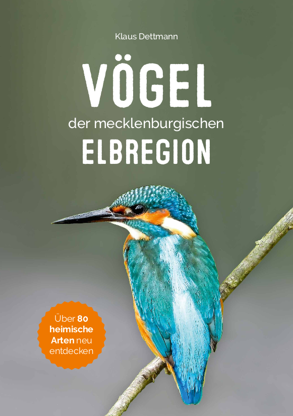 Vögel der mecklenburgischen Elbregion